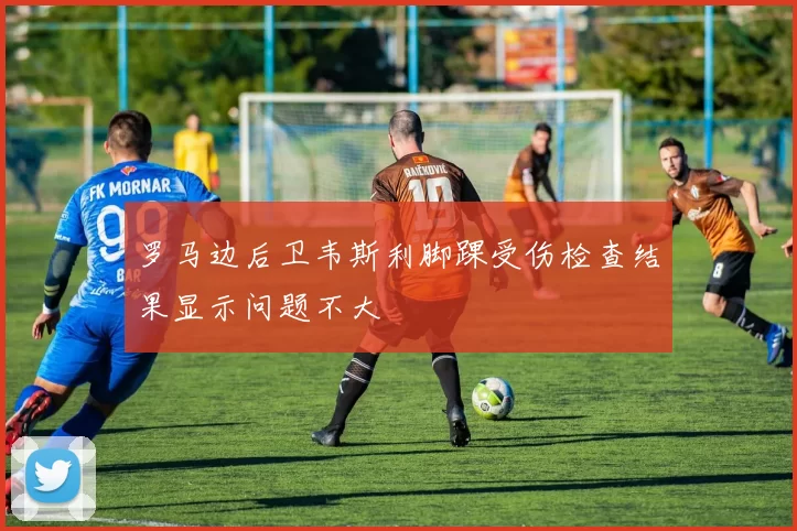 罗马边后卫韦斯利脚踝受伤检查结果显示问题不大